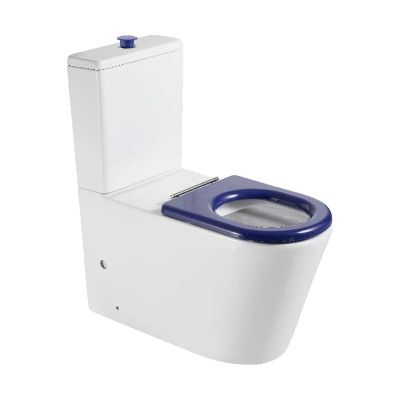 Pani Care-Accessible Back-to-Wall Toilet - MTO Marbles & Tiles Outlet