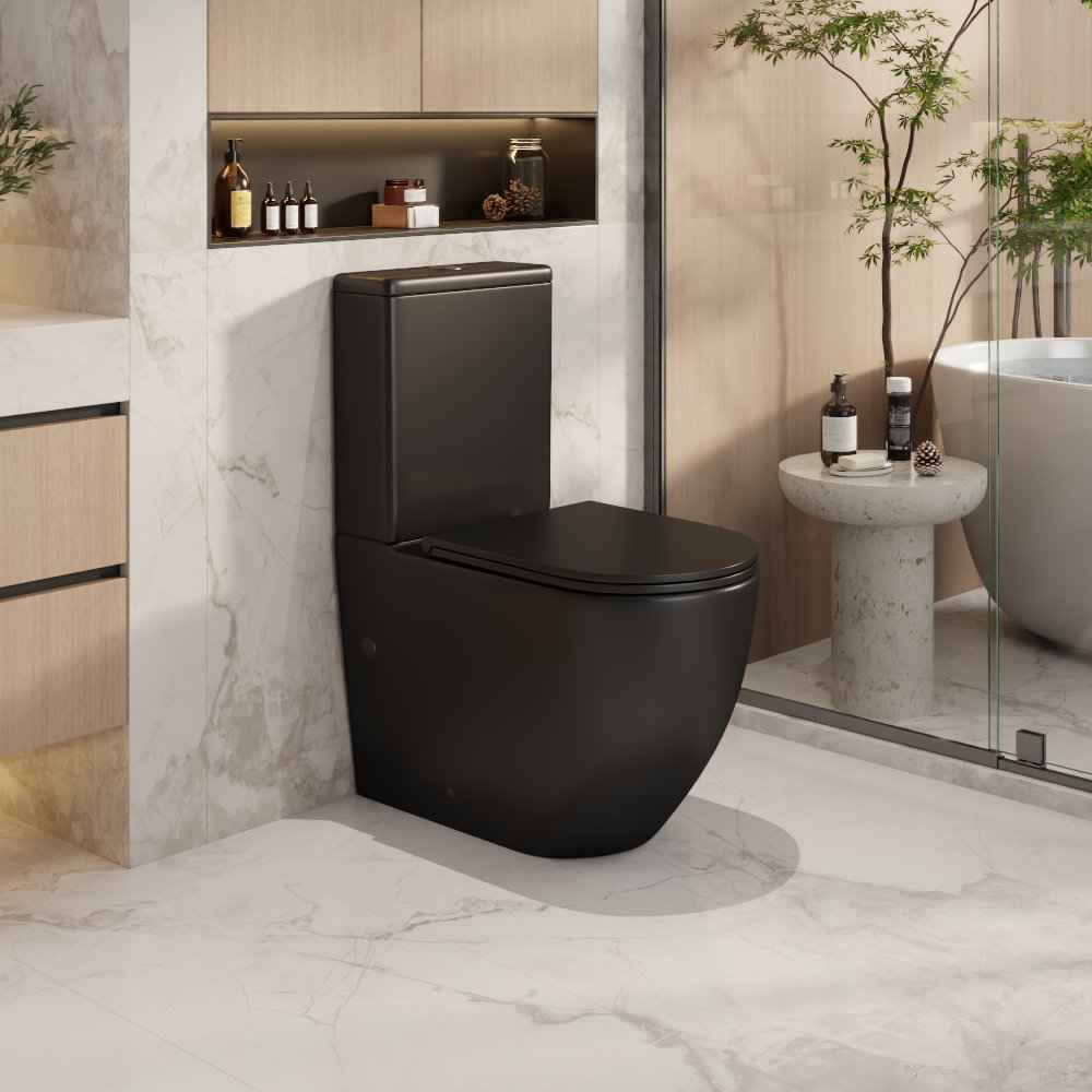 Norton Back to Wall Toilet Suite