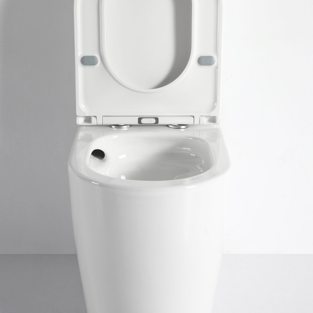 Walton Back to Wall Toilet Suite - MTO Marbles & Tiles Outlet