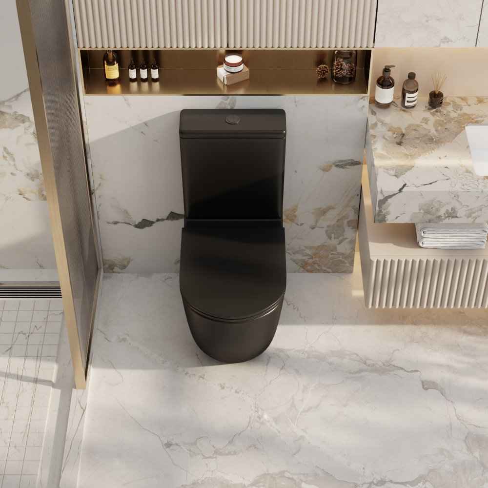 Norton Back to Wall Toilet Suite