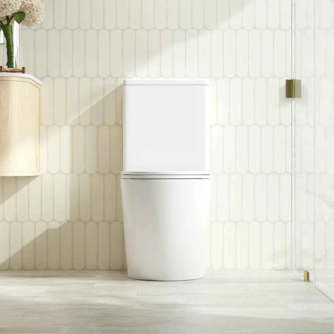 DIANA Tornado Rimless Back to Wall Toilet Suite