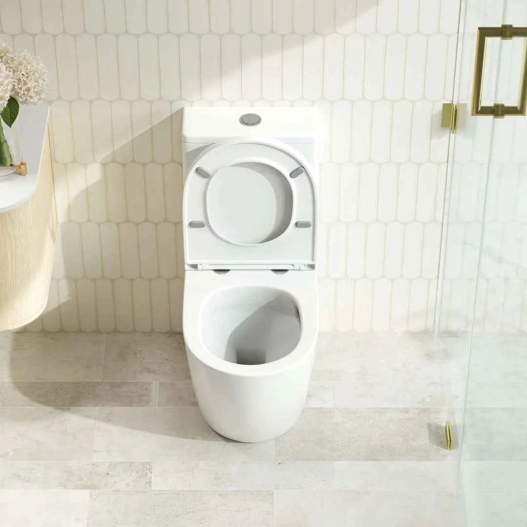 DIANA Tornado Rimless Back to Wall Toilet Suite