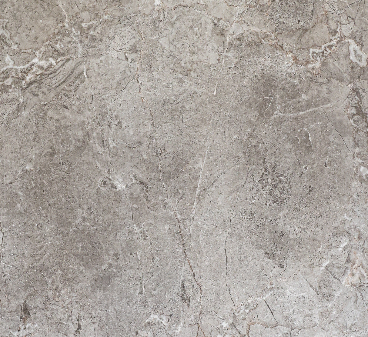 Cappuccino Marble Dark Polished - MTO Marbles & Tiles Outlet