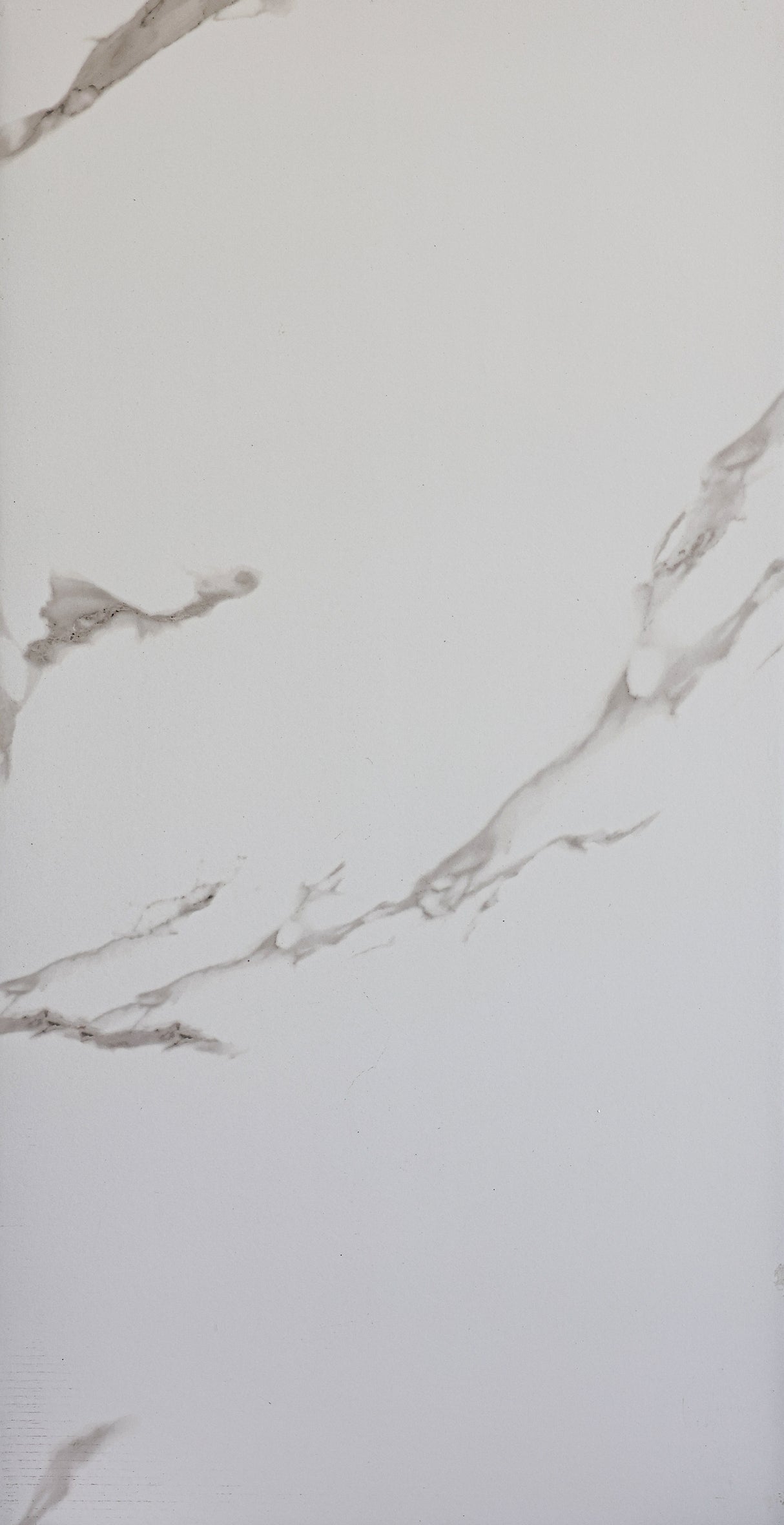 CALACATTA MATT - MTO Marbles & Tiles Outlet