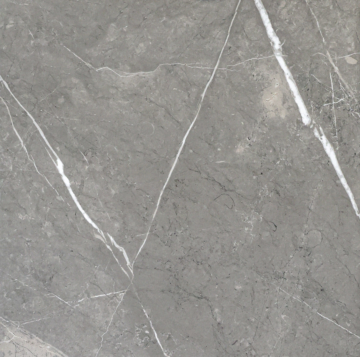 PIETRA SILVER MATT - MTO Marbles & Tiles Outlet