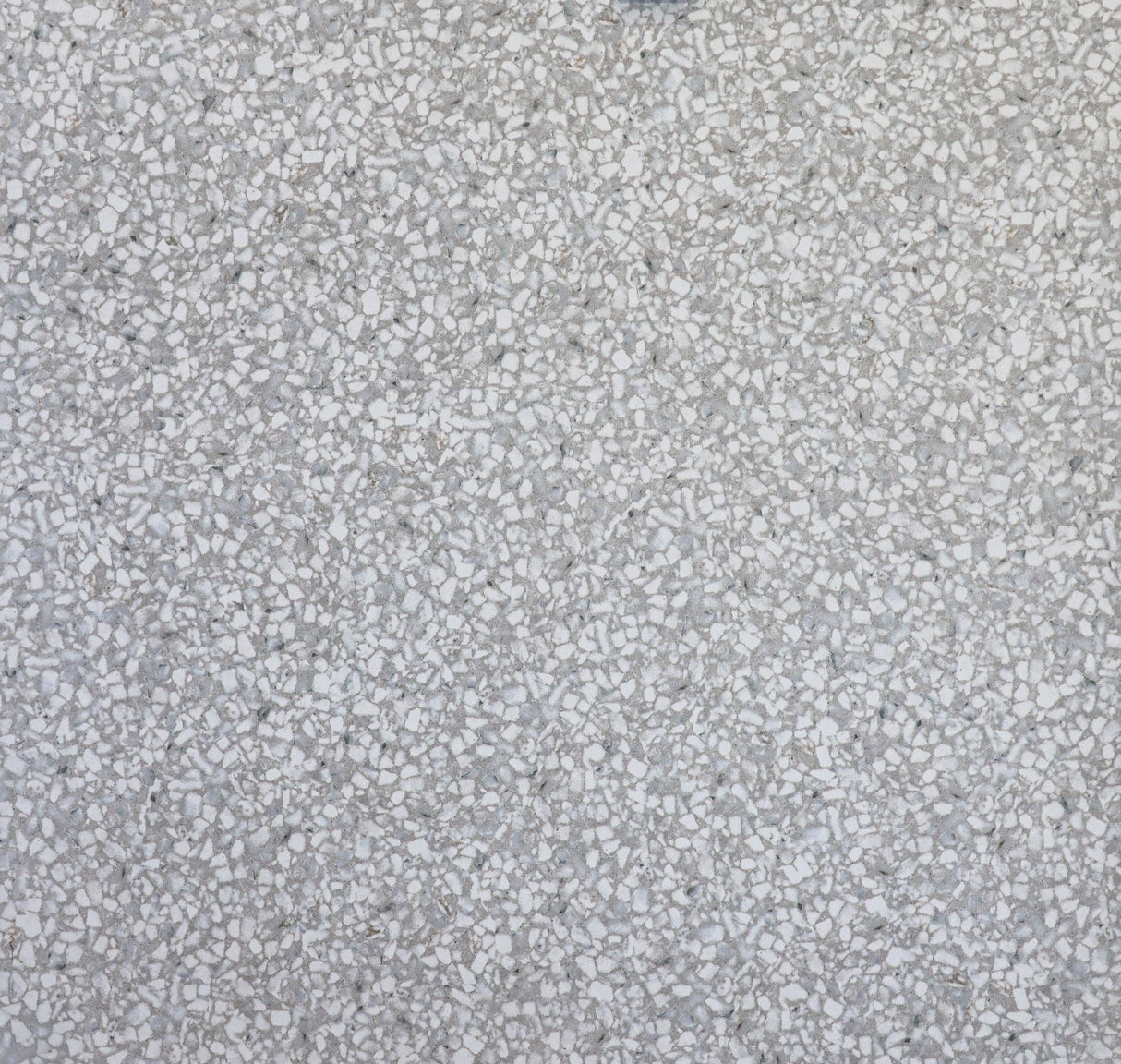 TERRAZZO WHITE - MTO Marbles & Tiles Outlet