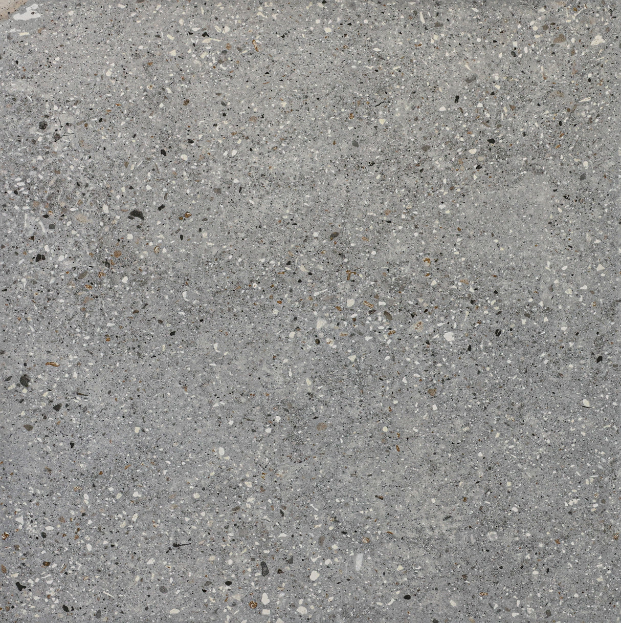 Fragment Pearl Matt - MTO Marbles & Tiles Outlet