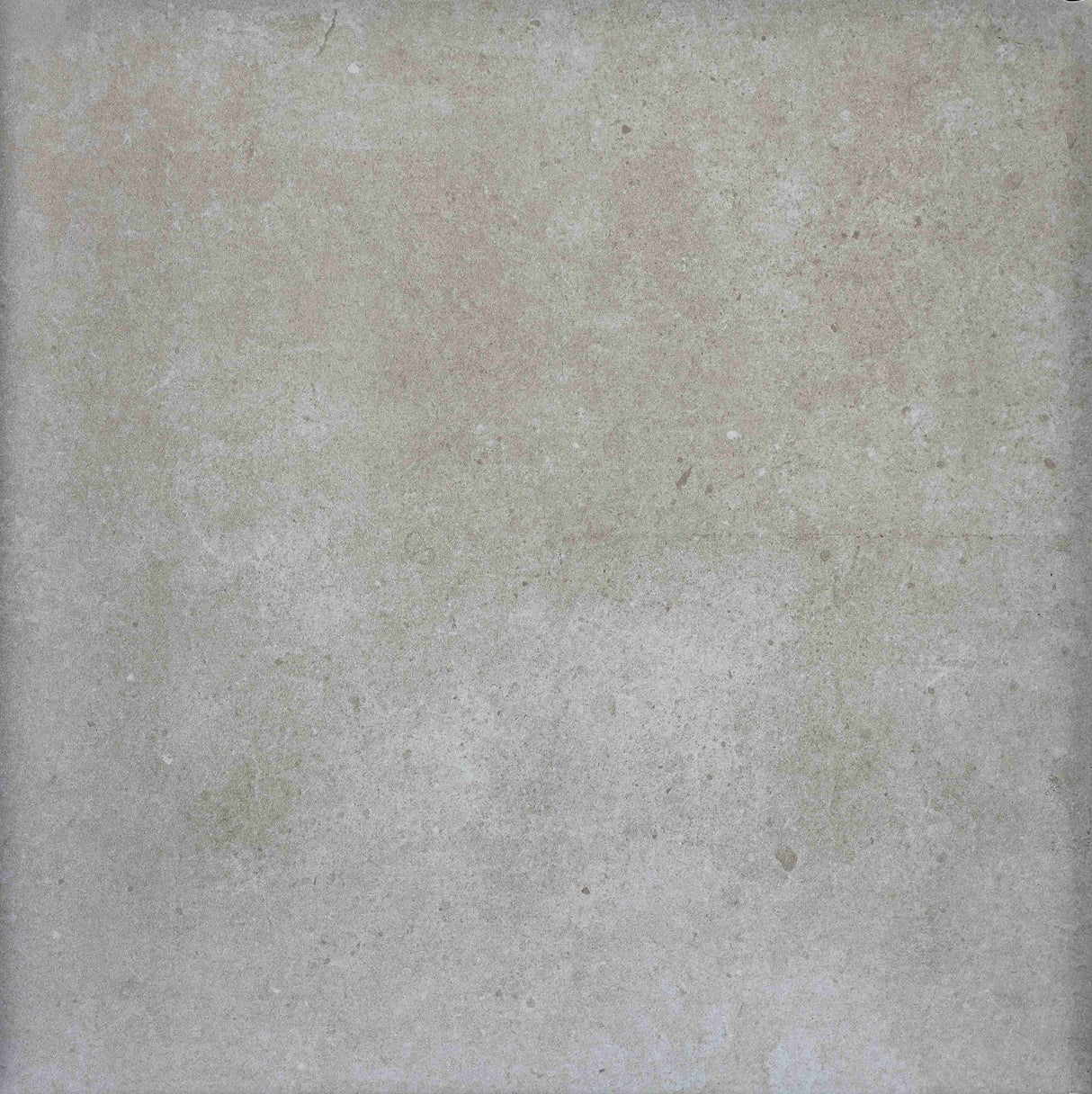 Patron Beige Matt - MTO Marbles & Tiles Outlet