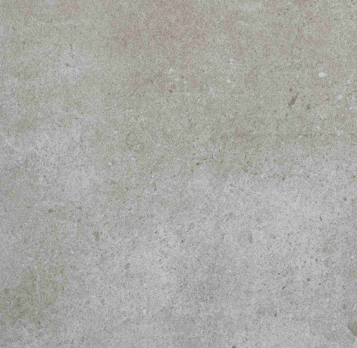 Patron Beige Matt - MTO Marbles & Tiles Outlet