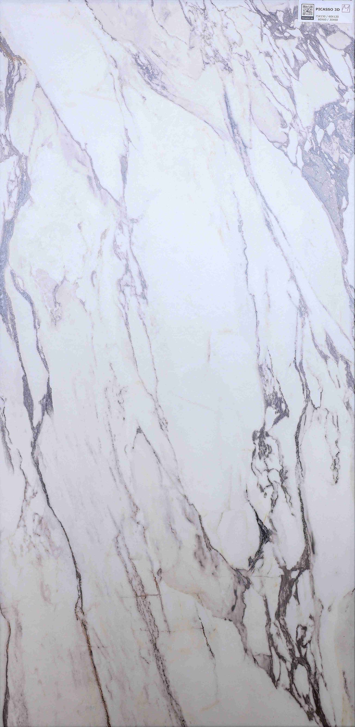 Picasso 3D Matt Finish Tile