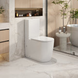 Walton Back to Wall Toilet Suite