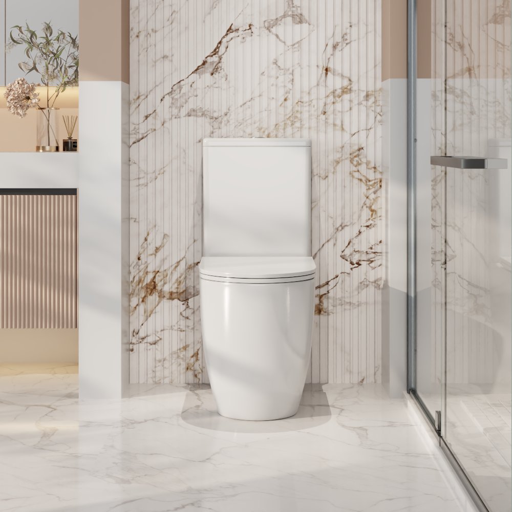 Walton Back to Wall Toilet Suite