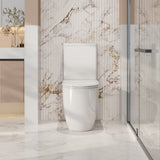 Walton Back to Wall Toilet Suite
