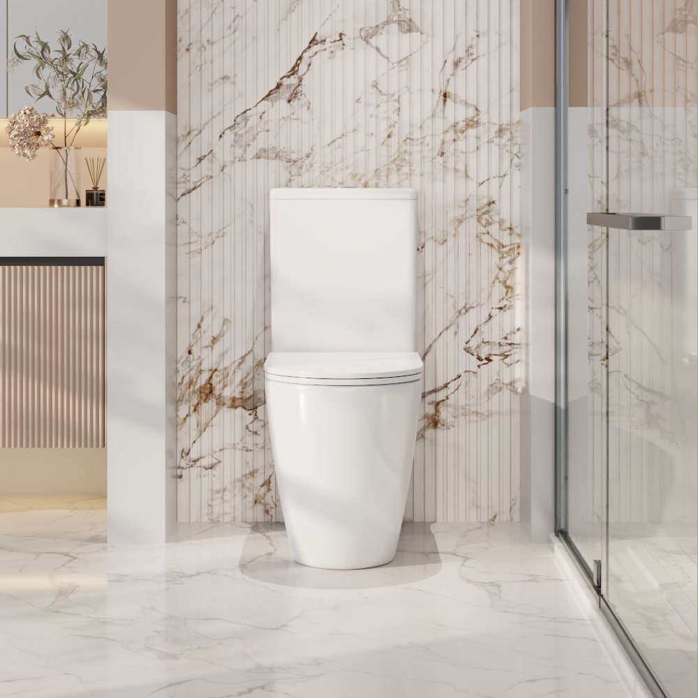 Norton Back to Wall Toilet Suite