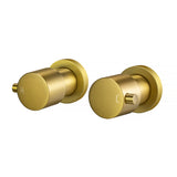 Brushed Brass Wall Tap