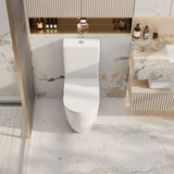 Norton Back to Wall Toilet Suite