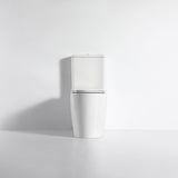 Walton Back to Wall Toilet Suite