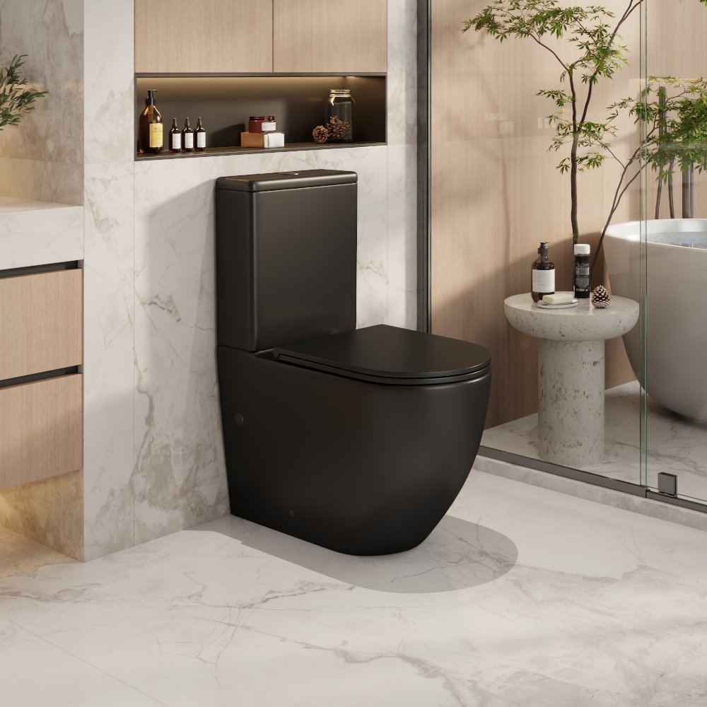 Norton Back to Wall Toilet Suite