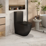 Norton Back to Wall Toilet Suite