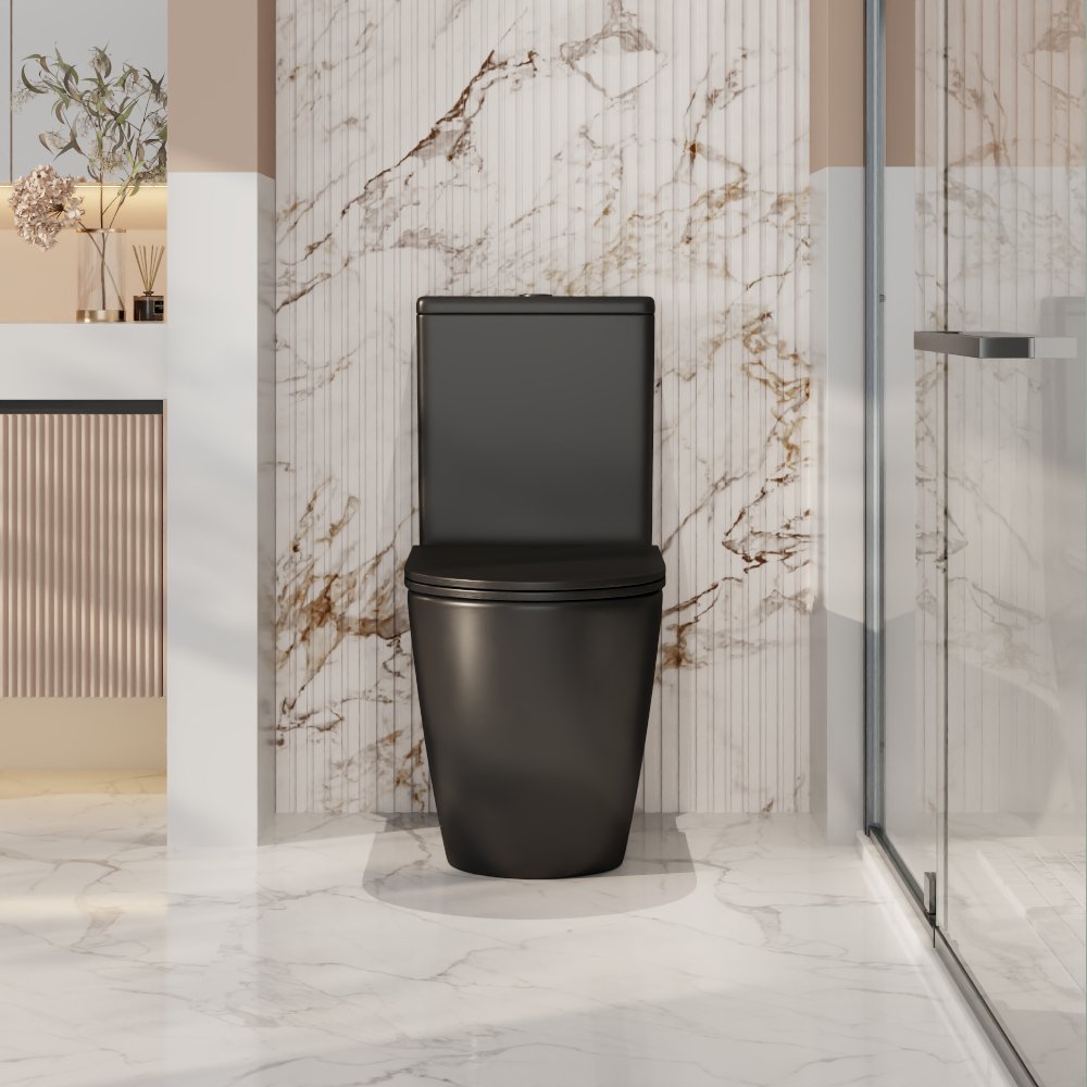 Norton Back to Wall Toilet Suite