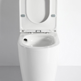 Walton Back to Wall Toilet Suite