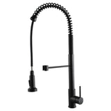 Black Pull Out Kitchen Mixer