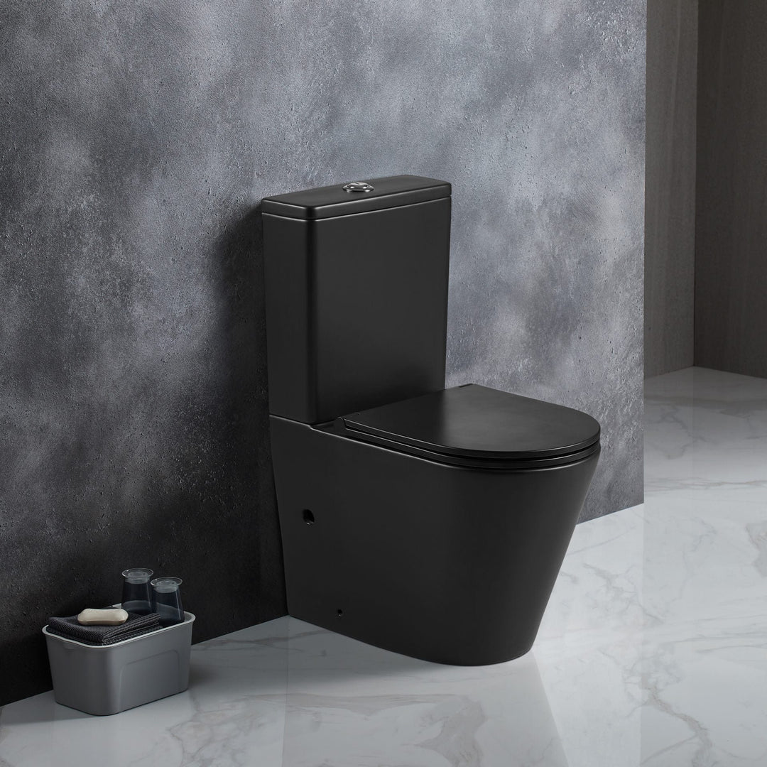 Berlin Back to Wall Toilet Suite
