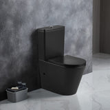 Berlin Back to Wall Toilet Suite