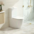 DIANA Tornado Rimless Back to Wall Toilet Suite