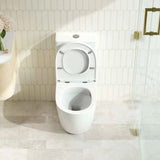 DIANA Tornado Rimless Back to Wall Toilet Suite