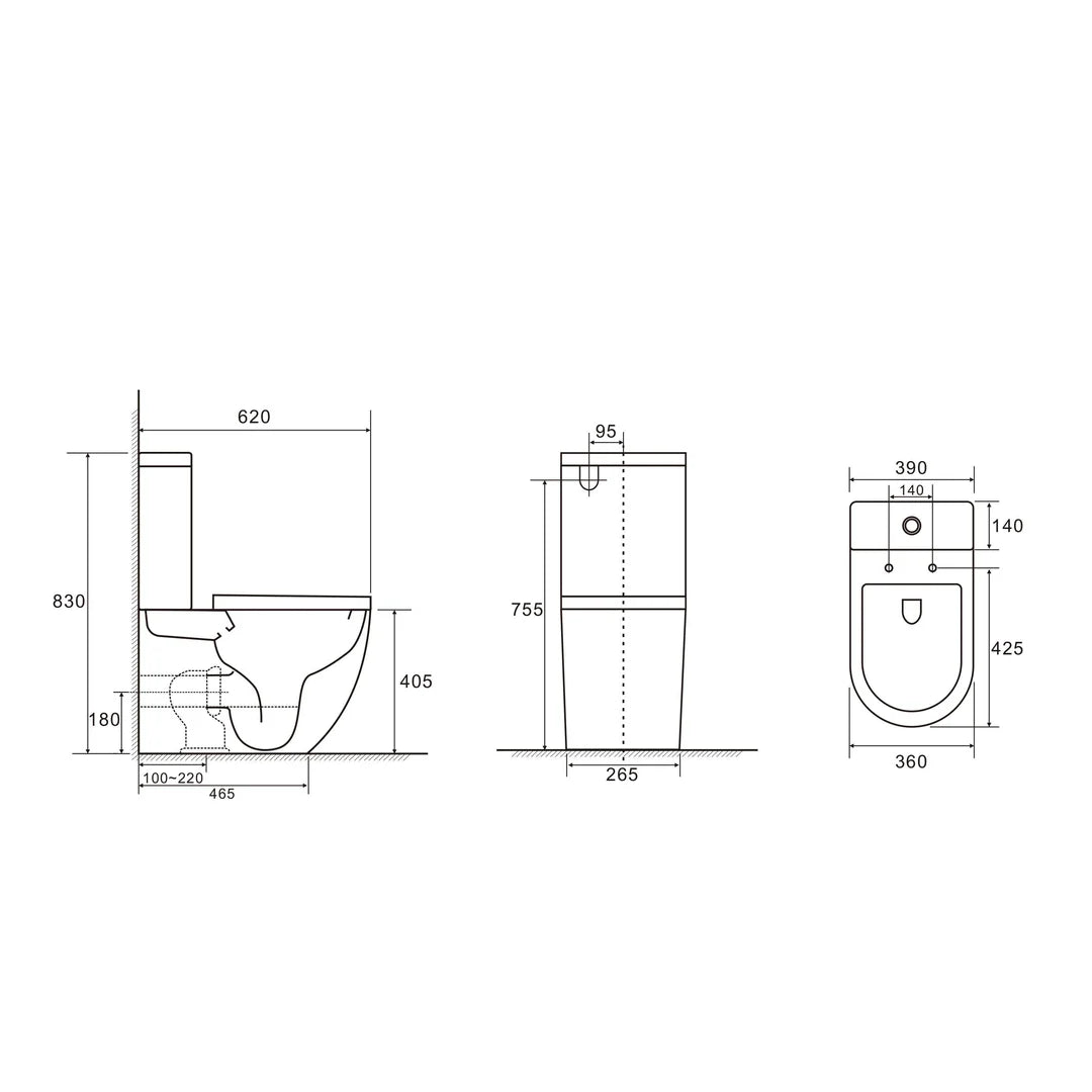 DIANA Tornado Rimless Back to Wall Toilet Suite