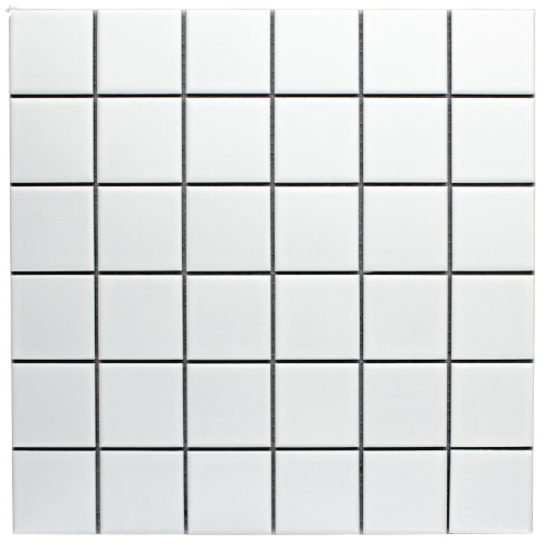 PGG3051 48mm