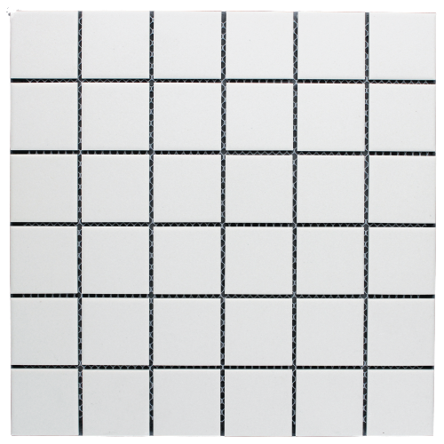 PGM3051 48mm