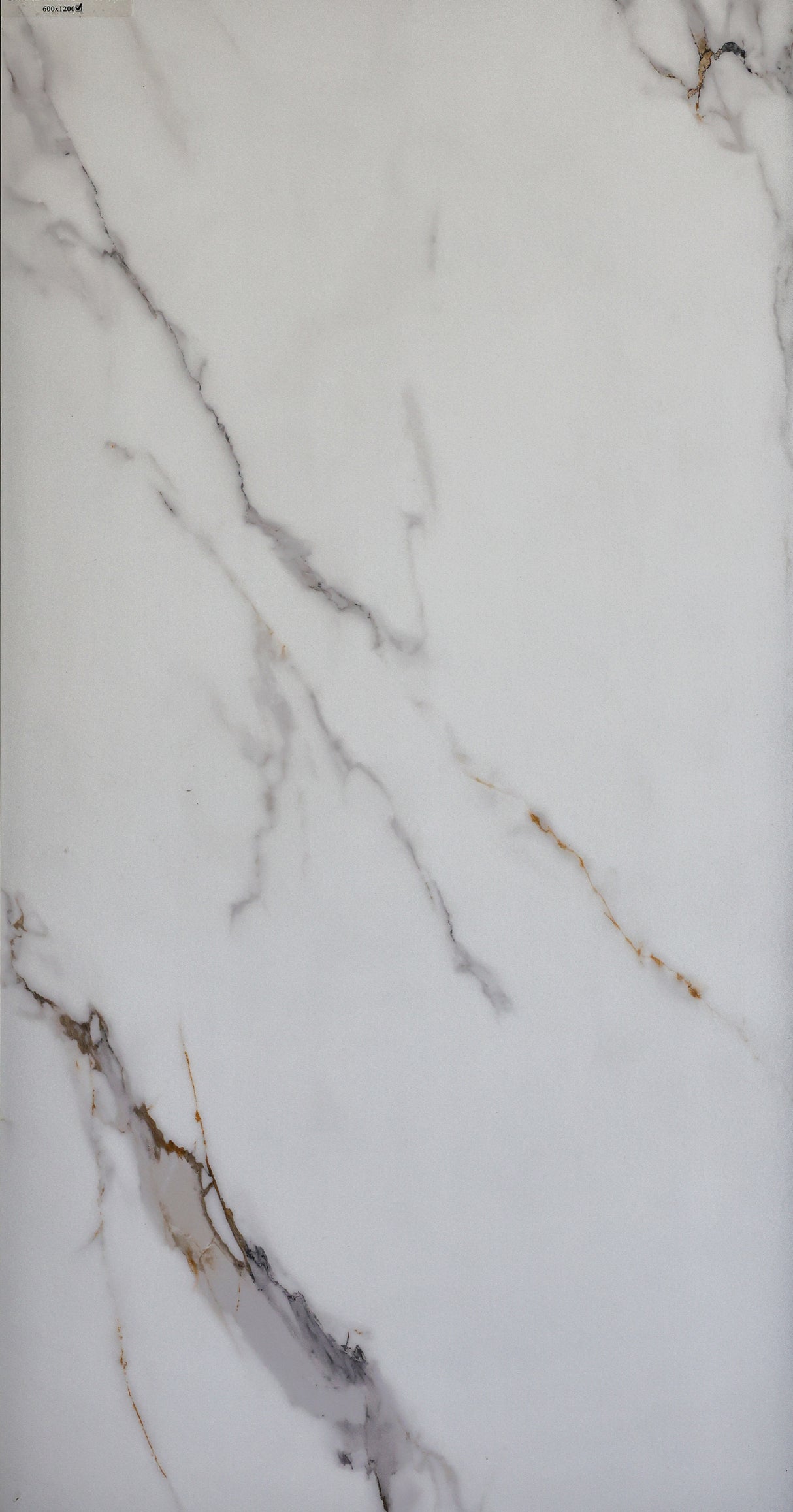 Calacatta Oro Soft Matt - MTO Marbles & Tiles Outlet