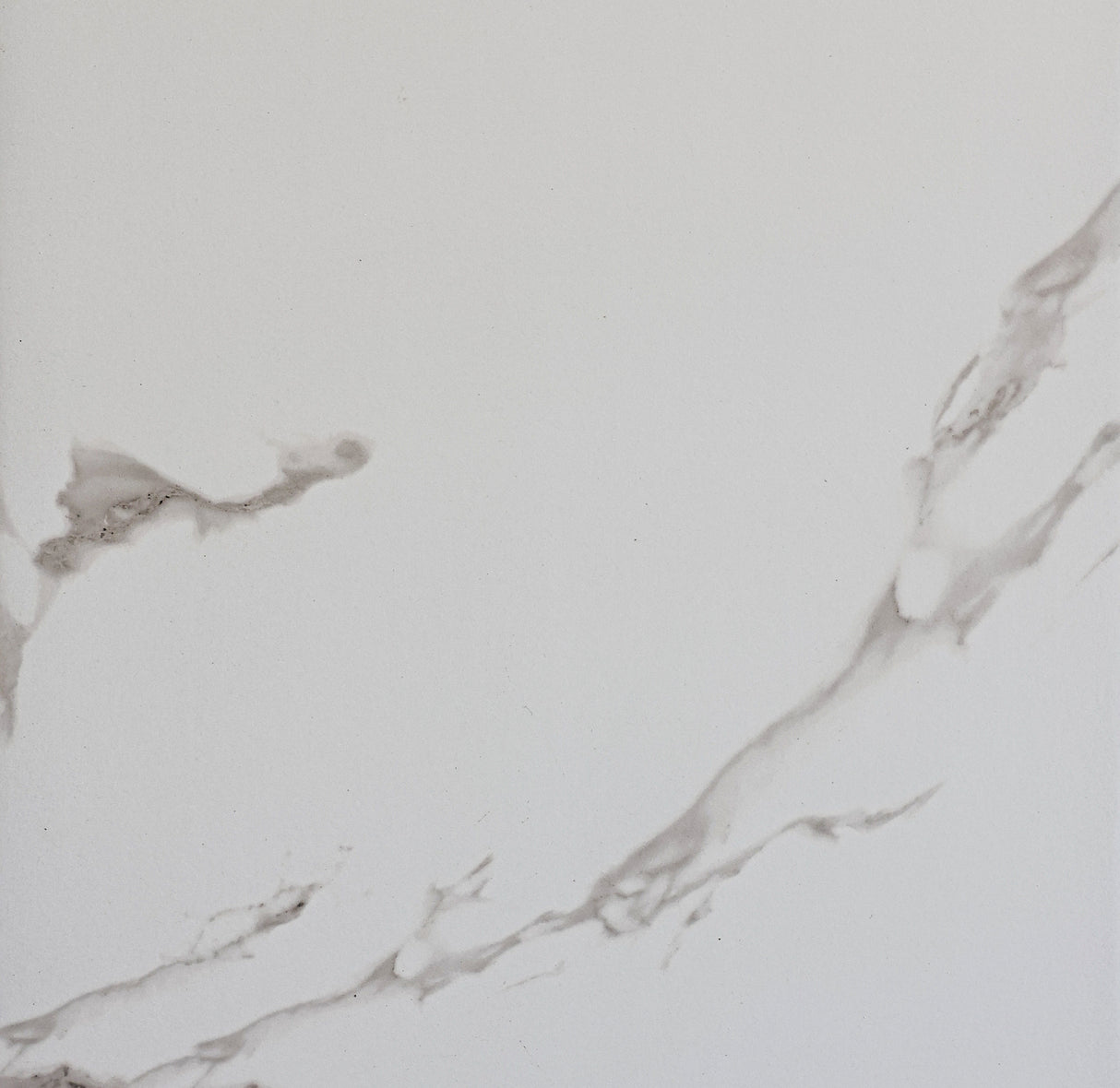 CALACATTA MATT - MTO Marbles & Tiles Outlet