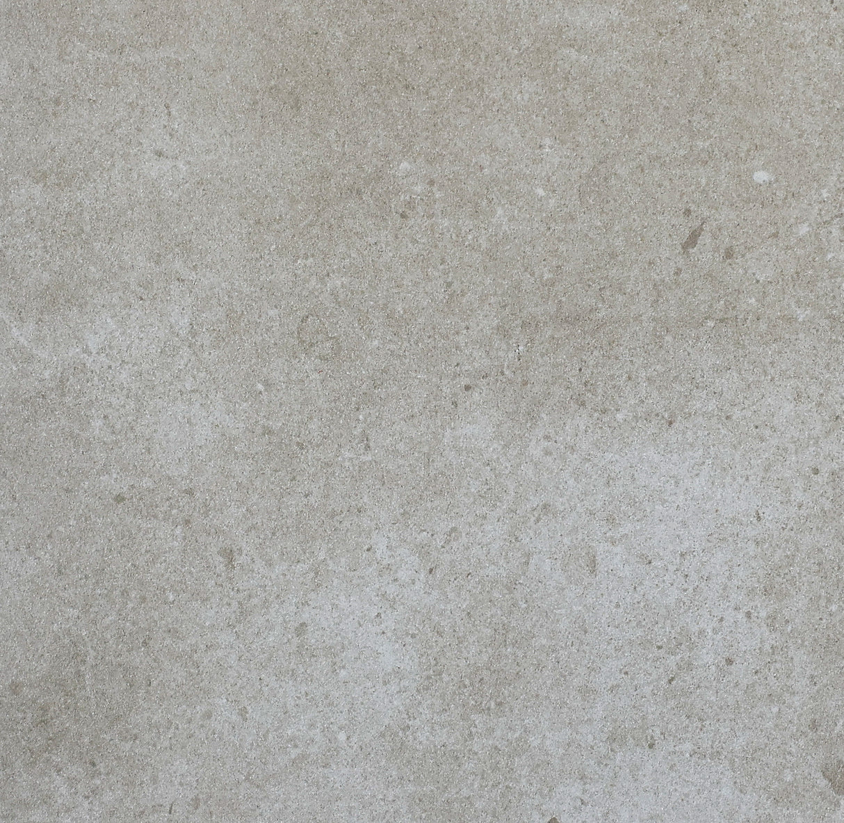 Patron Beige Matt - MTO Marbles & Tiles Outlet