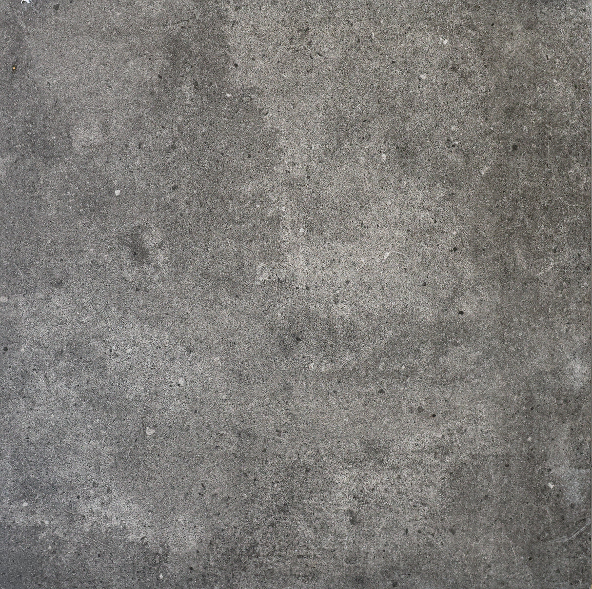 Patron Ebony Matt - MTO Marbles & Tiles Outlet