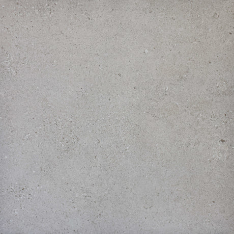 SHELLSTONE MATT - MTO Marbles & Tiles Outlet