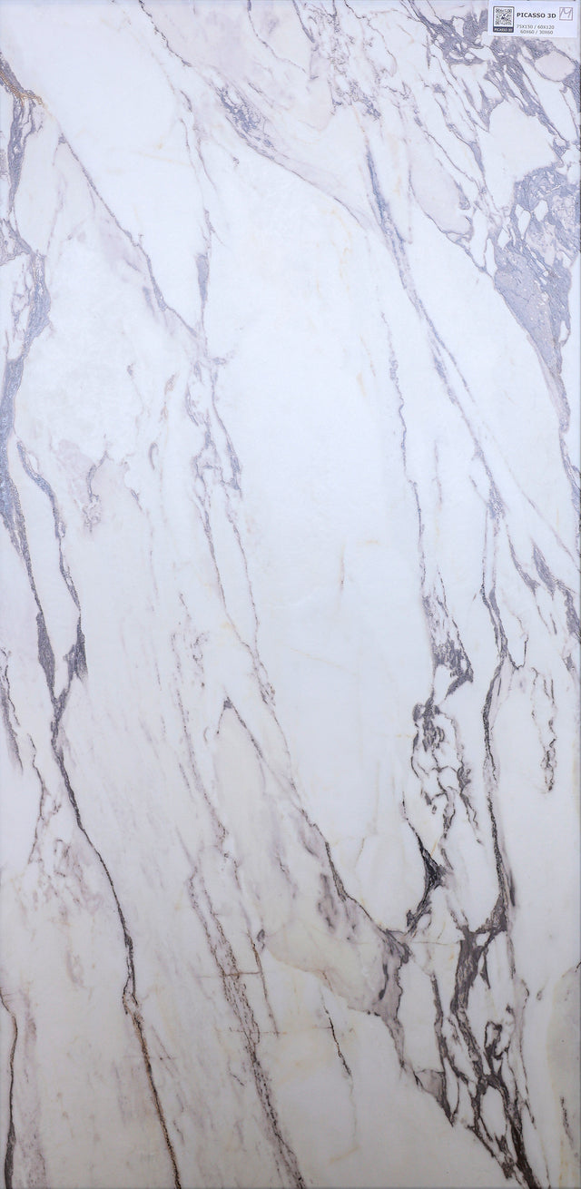 Picasso 3D Matt Finish Tile