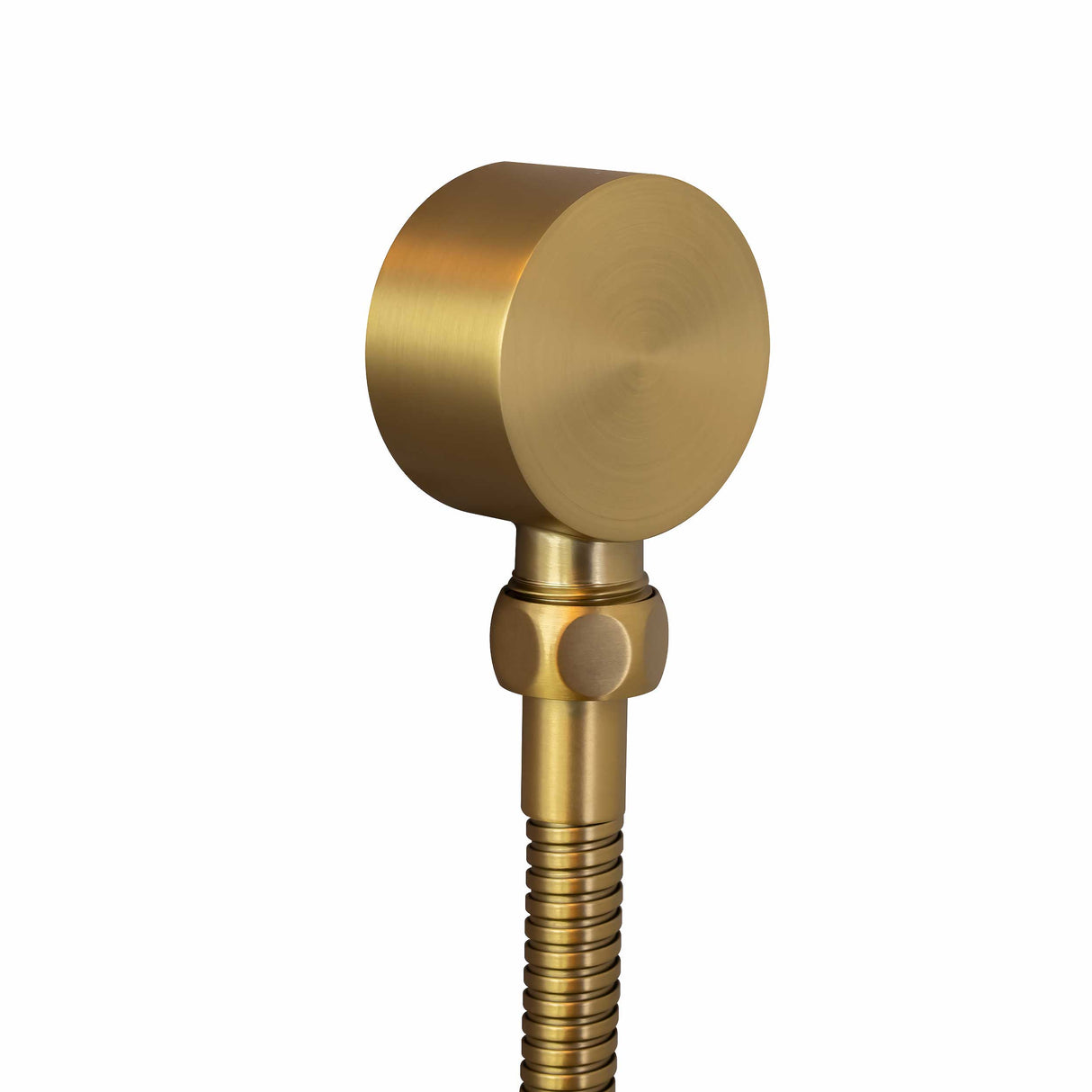 CADDENCE - Brushed Brass Shower Rail
